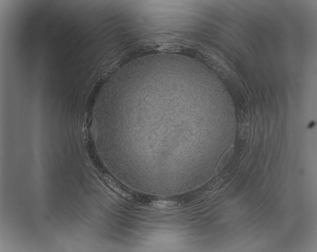 X0000074970748200609221822