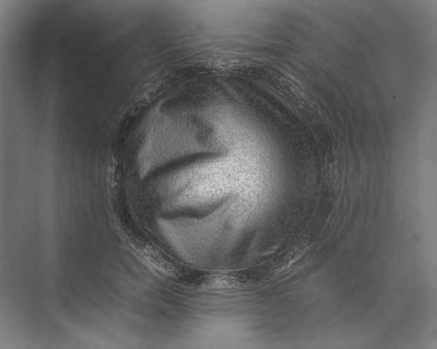 X0000074970750200609221822