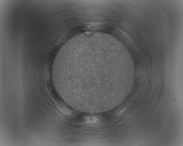 X0000074970751200609221823