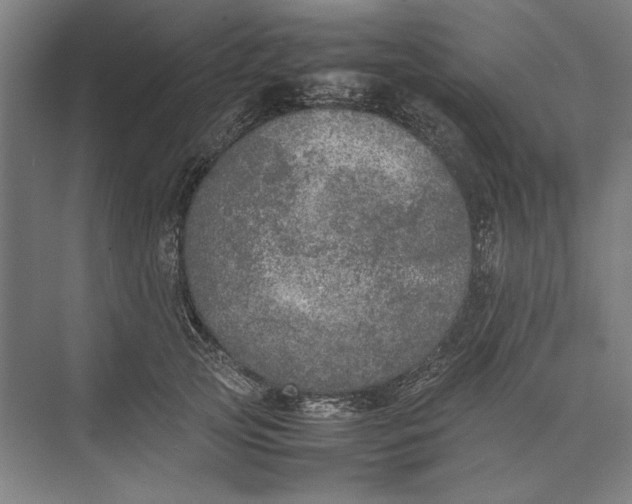 X0000074970753200609221823