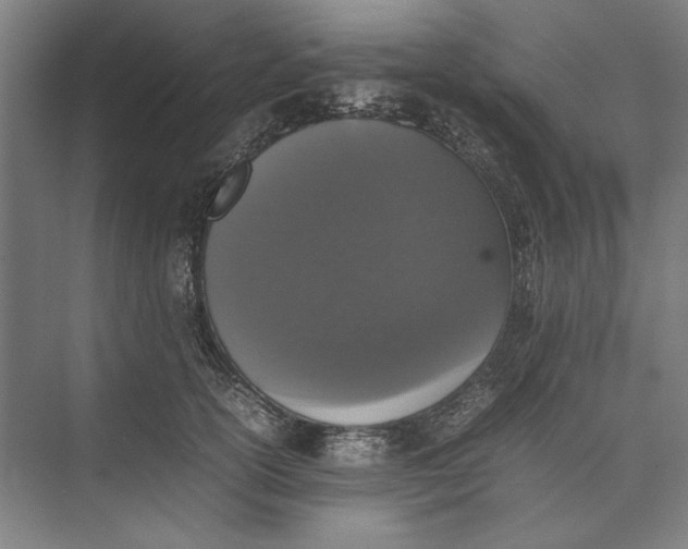 X0000074970754200609221823