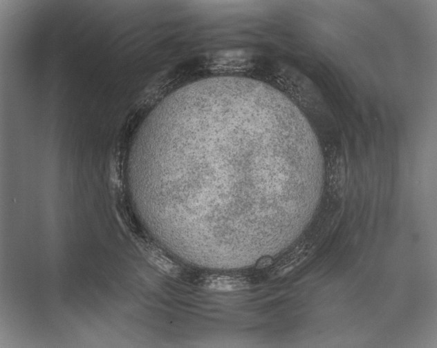 X0000074970755200609221823