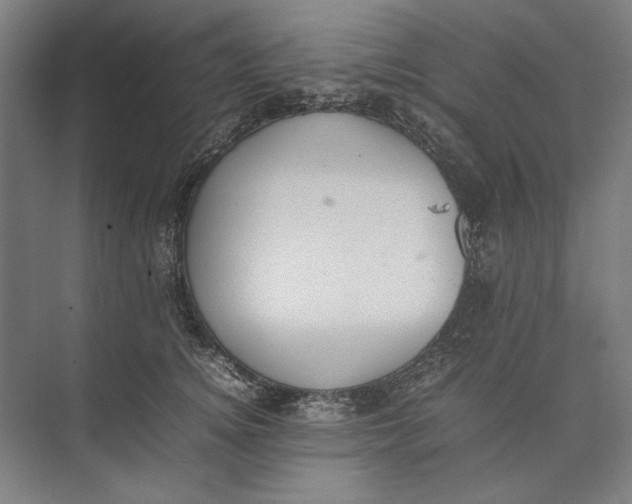 X0000074970756200609221823