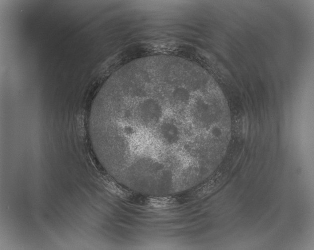 X0000074970757200609221823