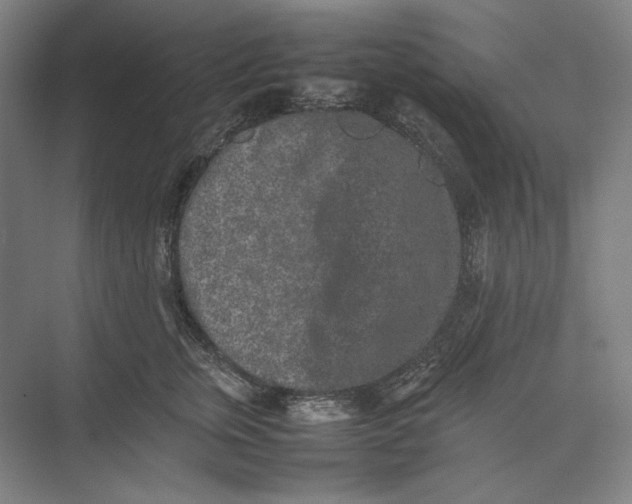 X0000074970759200609221823