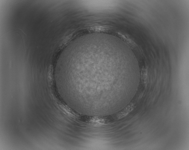 X0000074970760200609221823