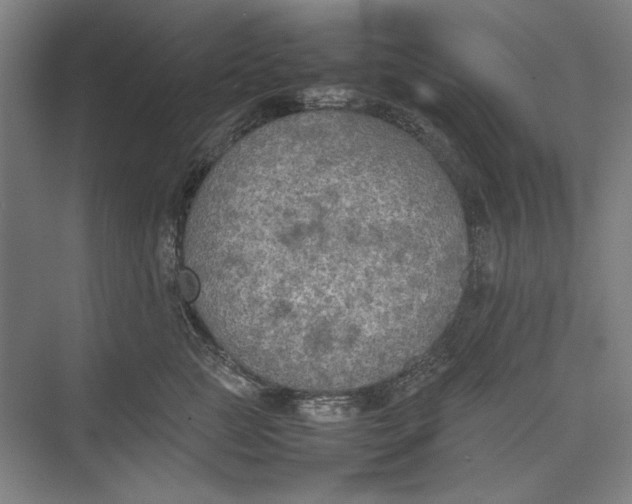 X0000074970761200609221823