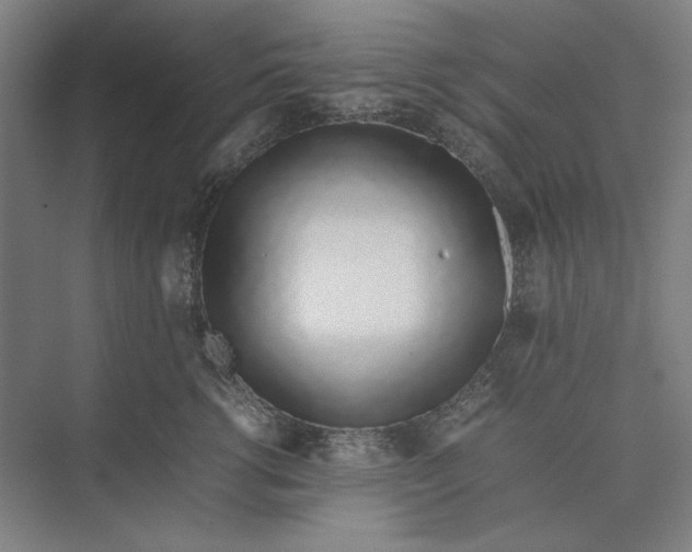 X0000074970762200609221823