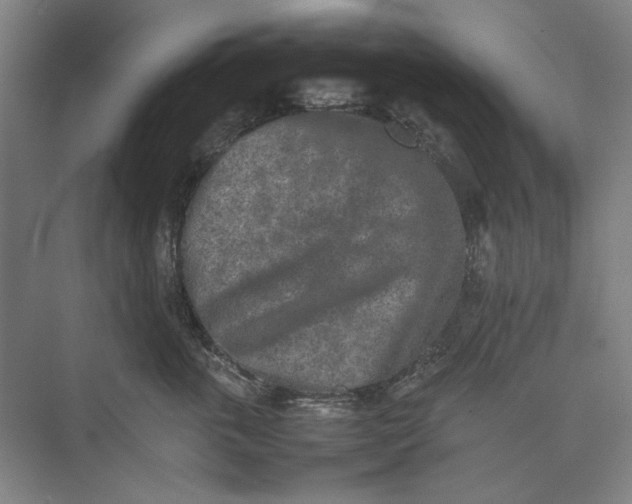 X0000074970763200609221823