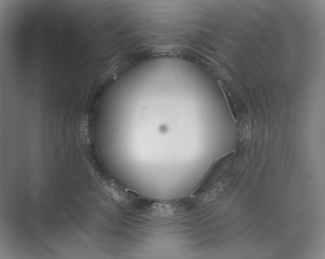 X0000074970764200609221823