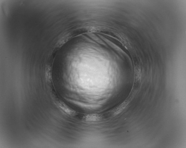 X0000074970766200609221823