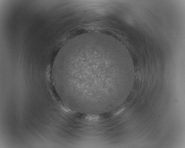 X0000074970767200609221823