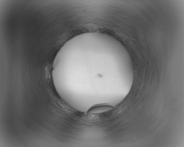 X0000074970768200609221823