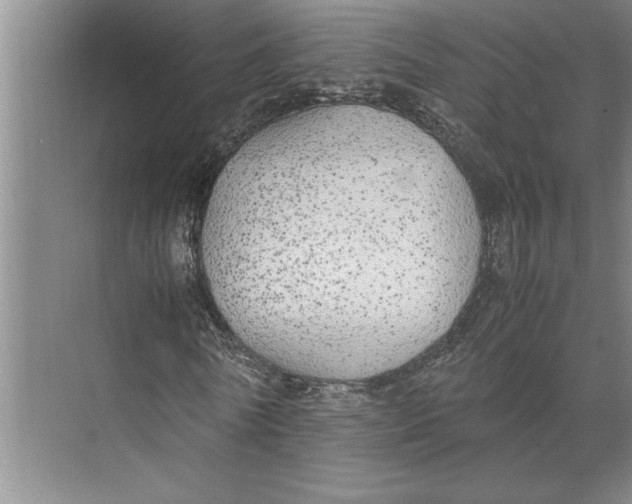 X0000074970770200609221822