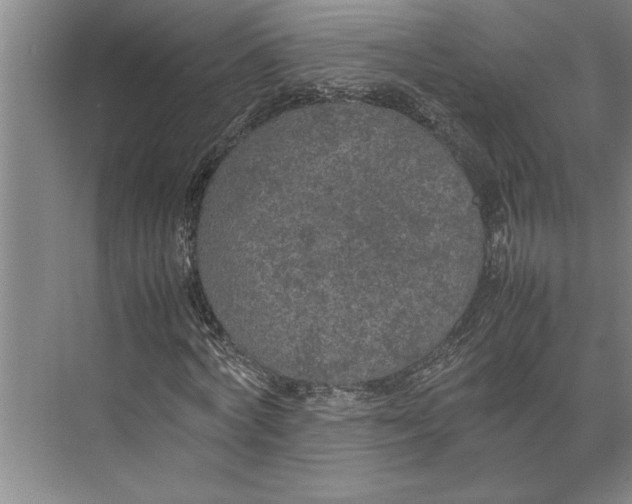 X0000074970772200609221822