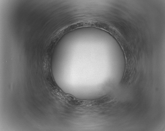 X0000074970773200609221822