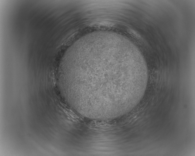 X0000074970774200609221822