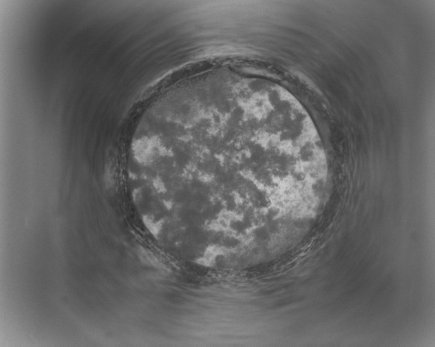 X0000074970775200609221822