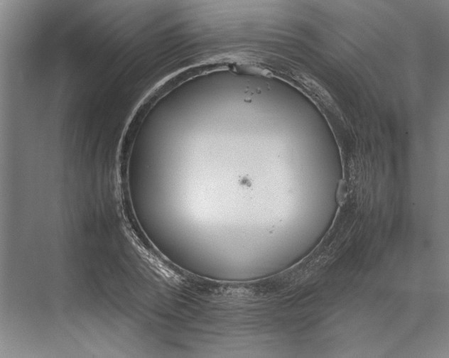 X0000074970784200609221822