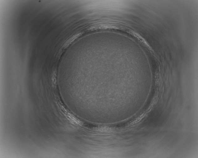 X0000074970785200609221822