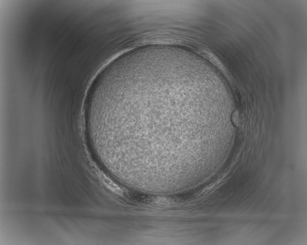 X0000074970787200609221822