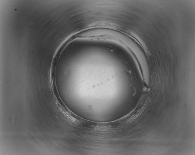 X0000074970788200609221822