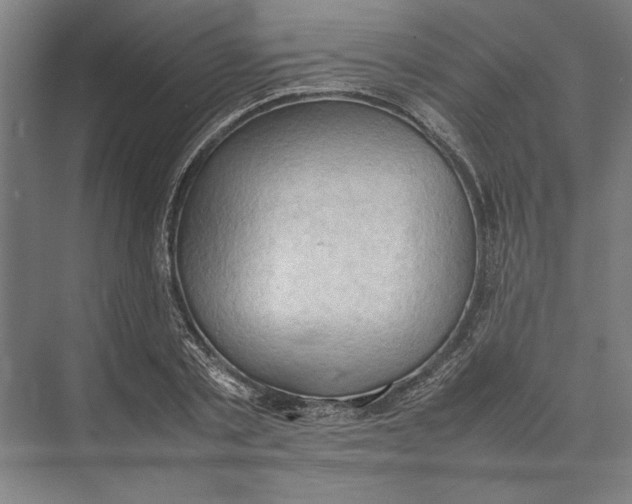 X0000074970789200609221822