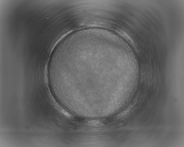 X0000074970798200609221821