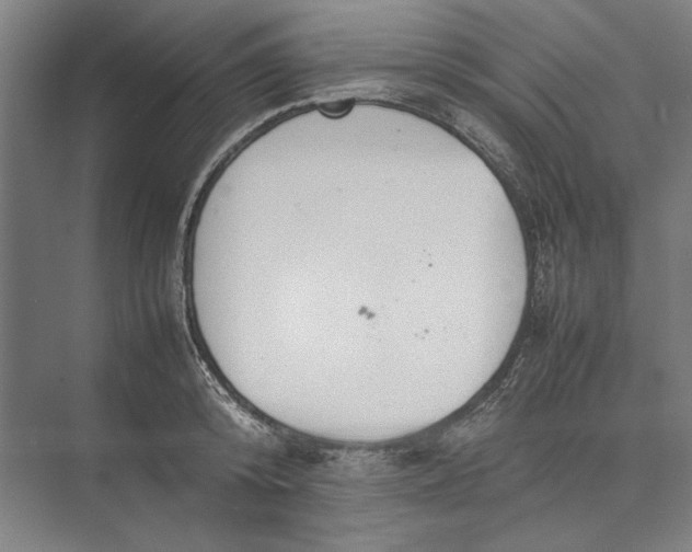 X0000074970800200609221821