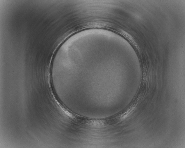 X0000074970802200609221821