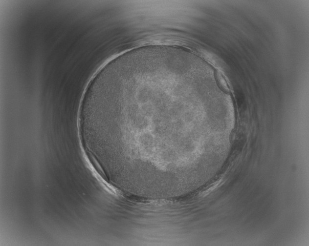 X0000074970803200609221821