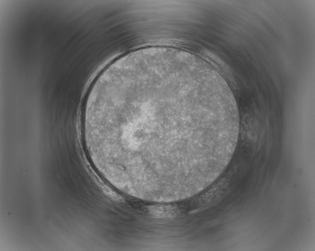 X0000074970804200609221821