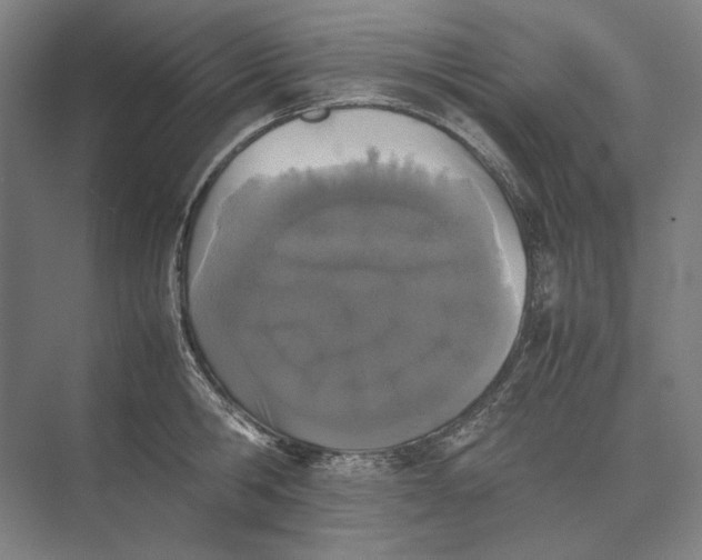 X0000074970806200609221821