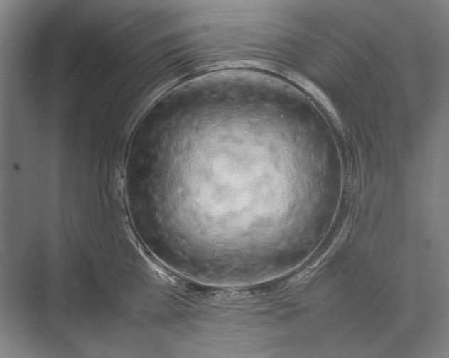 X0000074970809200609221821