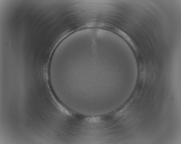 X0000074970810200609221821