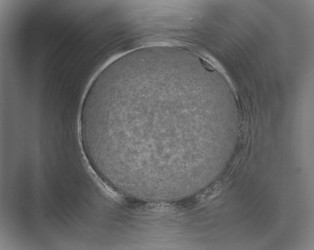 X0000074970811200609221821