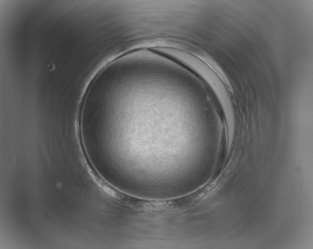 X0000074970813200609221821