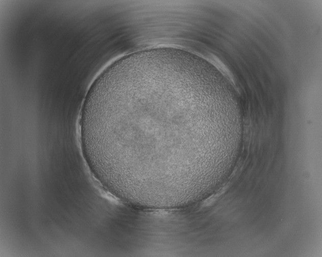 X0000074970814200609221821