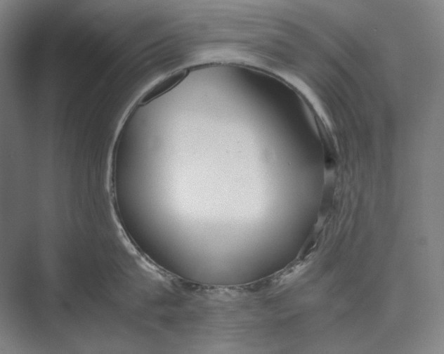 X0000074970815200609221821