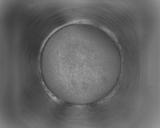 X0000074970816200609221821