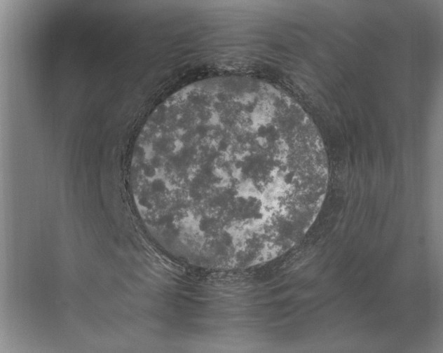 X0000074970817200609221820