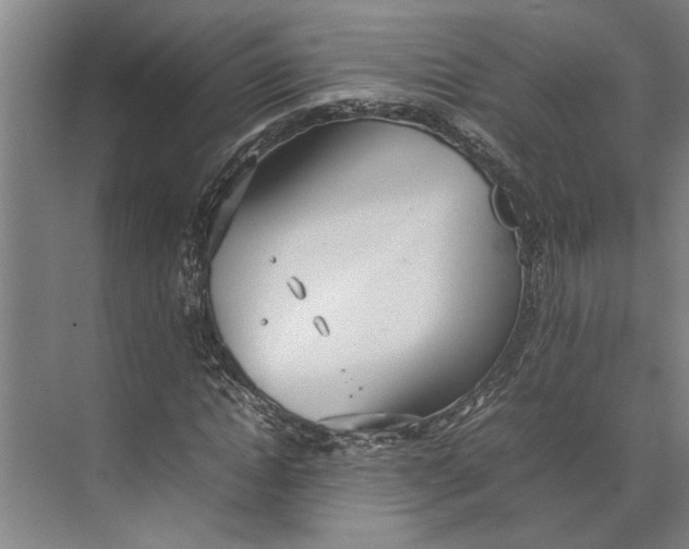 X0000074970822200609221820