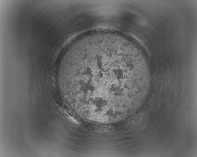 X0000074970823200609221820