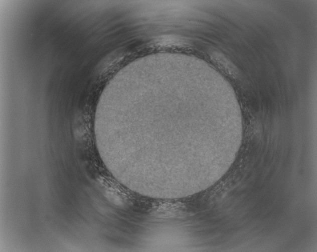 X0000074970824200609221820