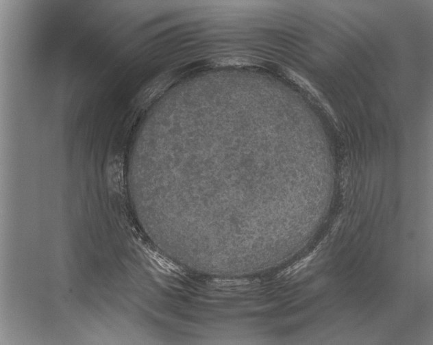 X0000074970825200609221821