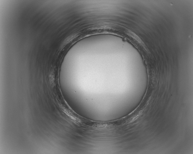 X0000074970826200609221821