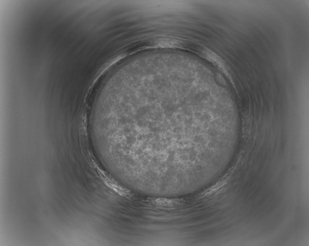 X0000074970827200609221821