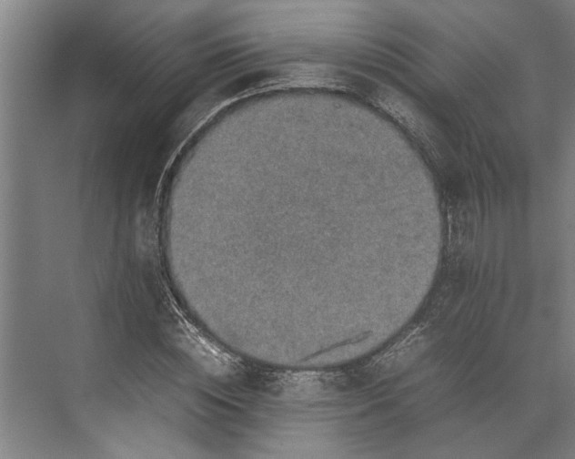 X0000074970828200609221821