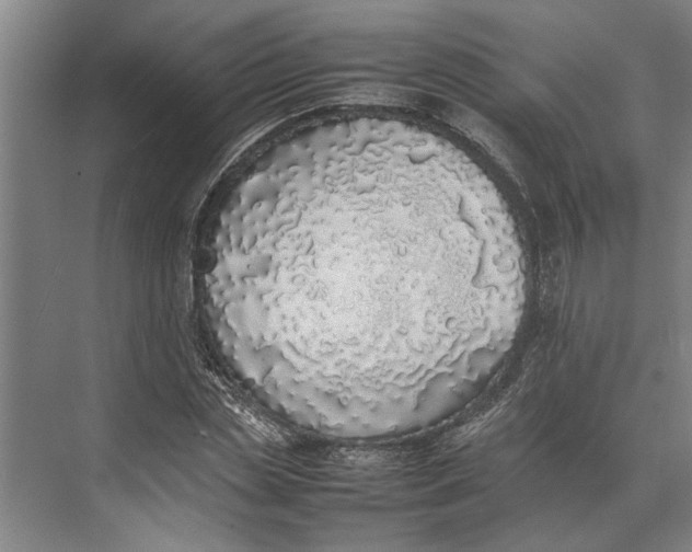 X0000074970829200609221821