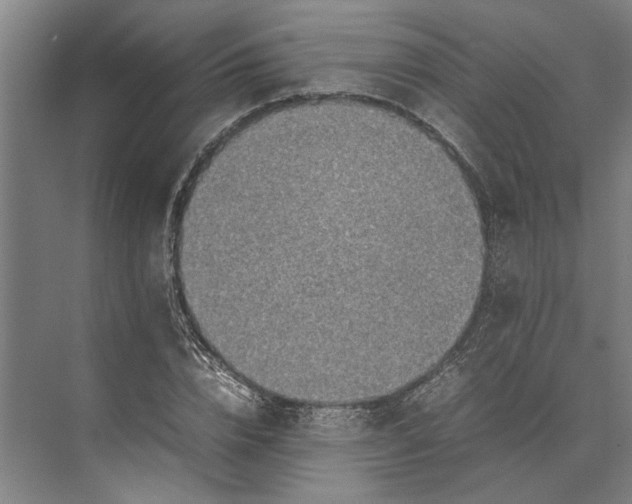 X0000074970832200609221821